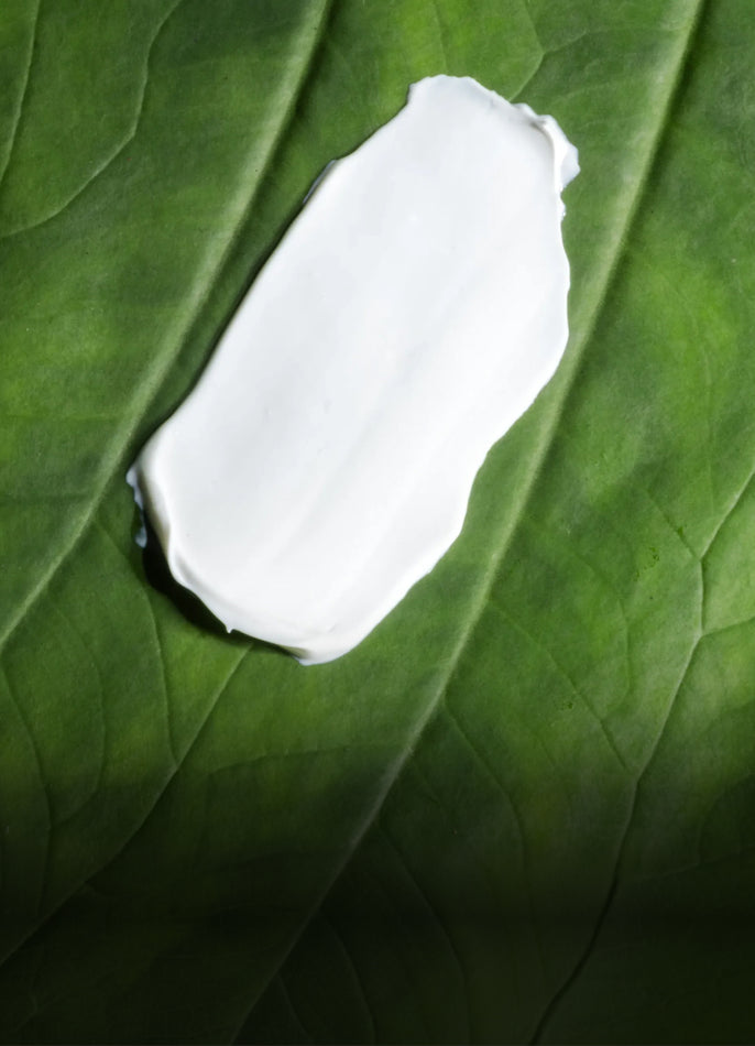 A dollop of thick white cream or lotion placed on a large green leaf, showing the product texture against a natural green background.