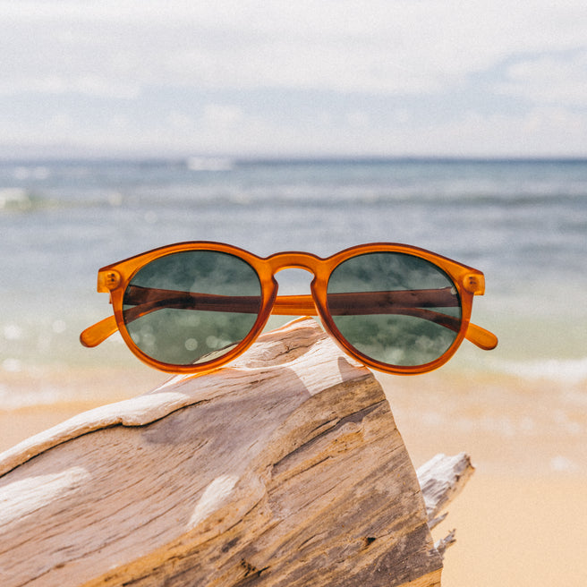 Orange sunglasses on a piece of driftwood with a beach background