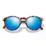 Dipsea Tortoise Aqua