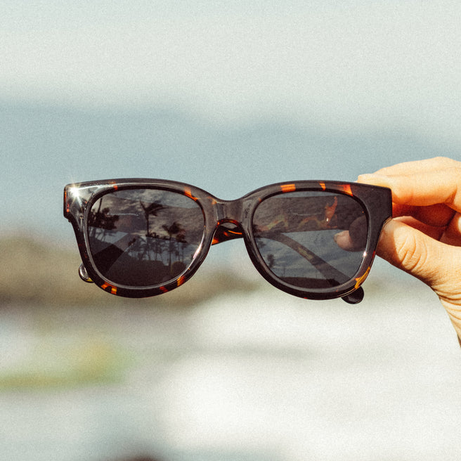 Person holding tortoiseshell sunglasses with a blurred natural background
