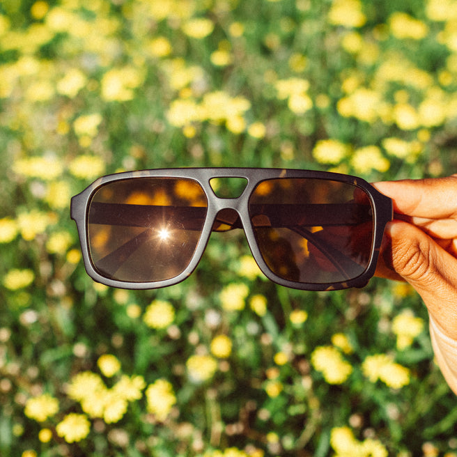 Sunglasses held up against a background of yellow flowers and green foliage