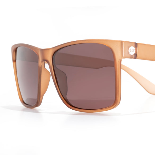 Sunglasses with brown frames and lenses on a white background