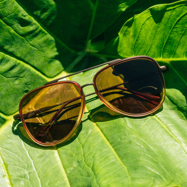 aviator sunglasses on a plant