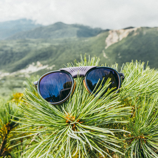 Sunglasses on a branch with a mountainous landscape in the background