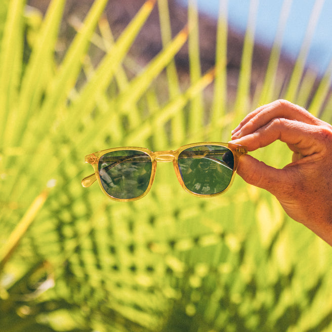 Hand holding a pair of sunglasses with a blurred green and natural background