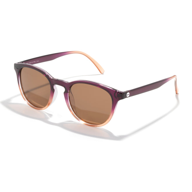 Sunglasses with a purple frame and brown lenses on a white background