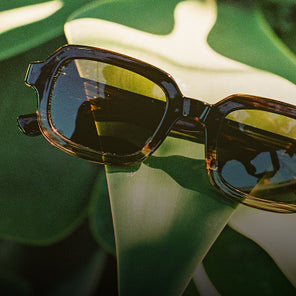 Sunglasses with a reflective surface on a green leaf