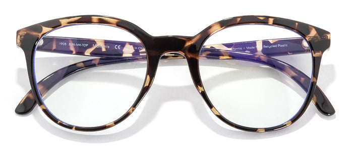 color Tortoise